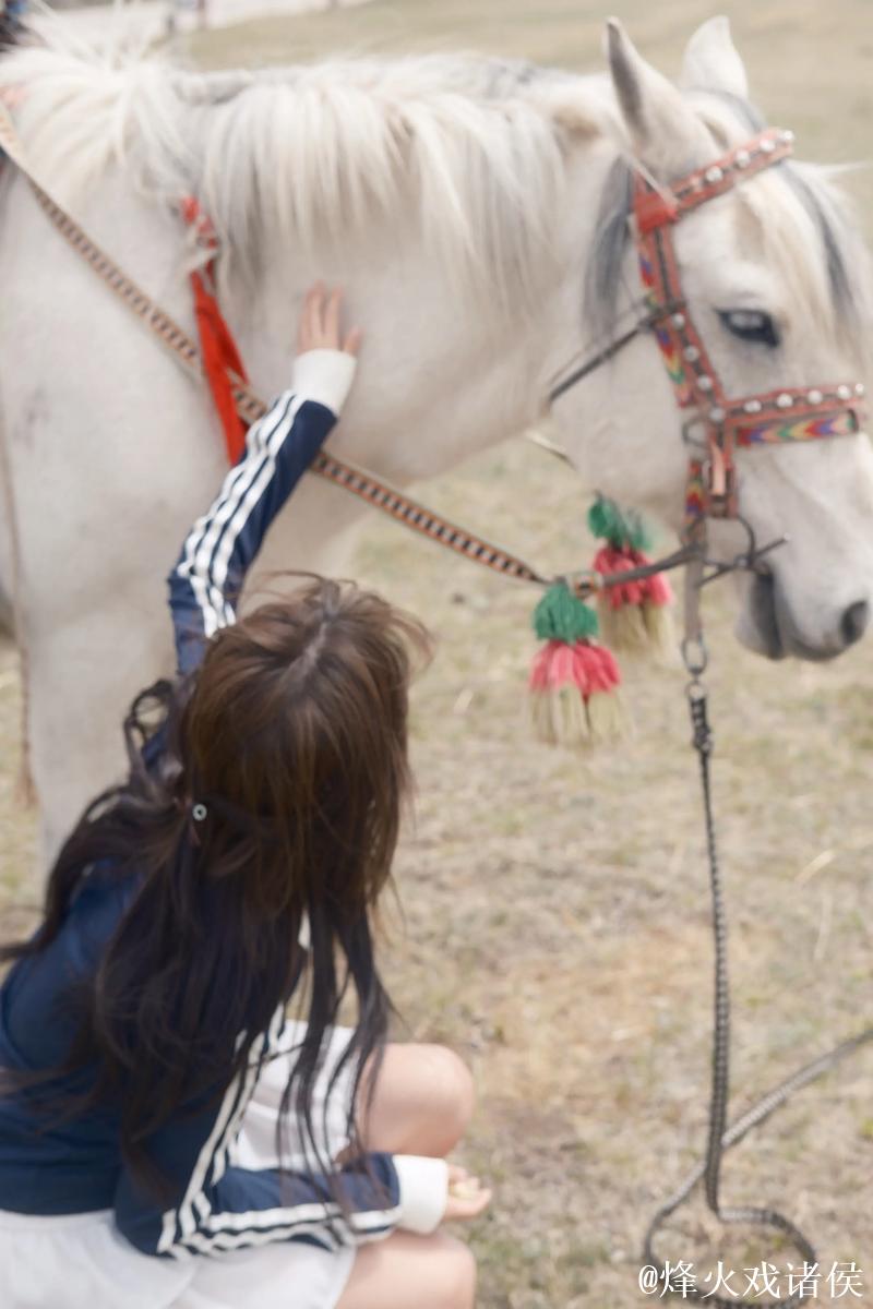 畅享青青草一区二区高清影视世界