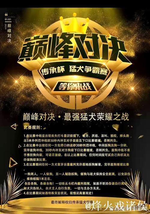 每日大赛精彩竞技等你来战