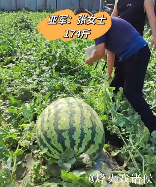 最新51吃瓜网：今日大瓜背后的故事揭秘